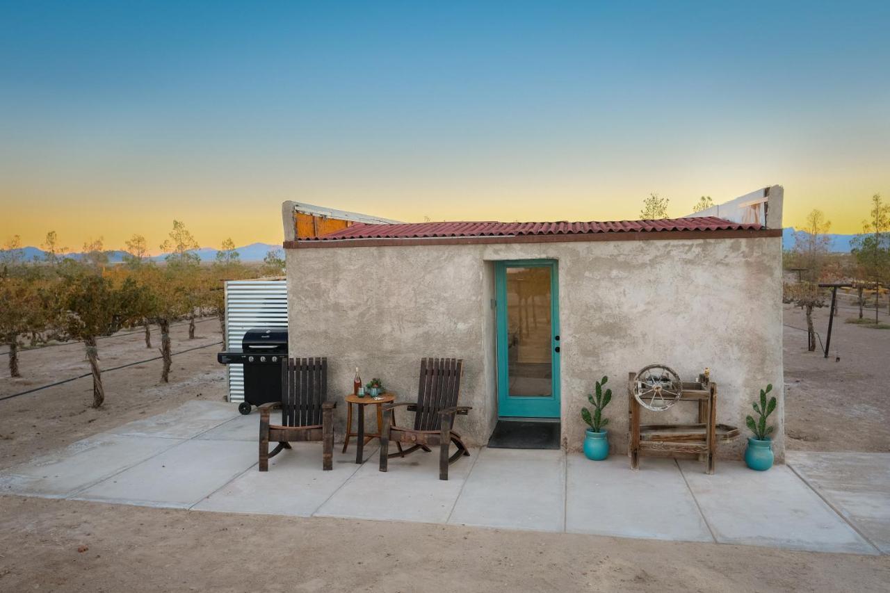Tarantula Ranch Vineyard near Death Valley Amargosa Valley Luaran gambar
