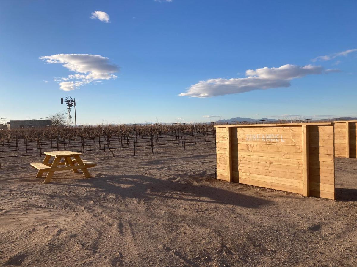 Tarantula Ranch Vineyard near Death Valley Amargosa Valley Luaran gambar