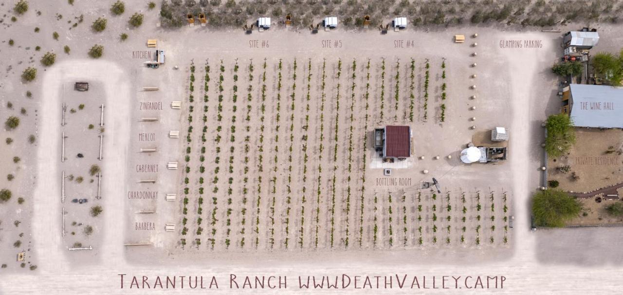 Tarantula Ranch Vineyard near Death Valley Amargosa Valley Luaran gambar